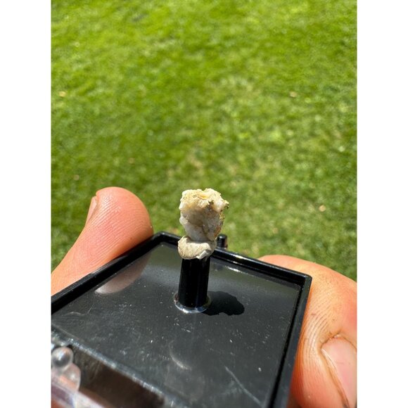 Gold on Quartz - Natural California Gold Specimen in Perky Display Box - #11 - Picture 7 of 7